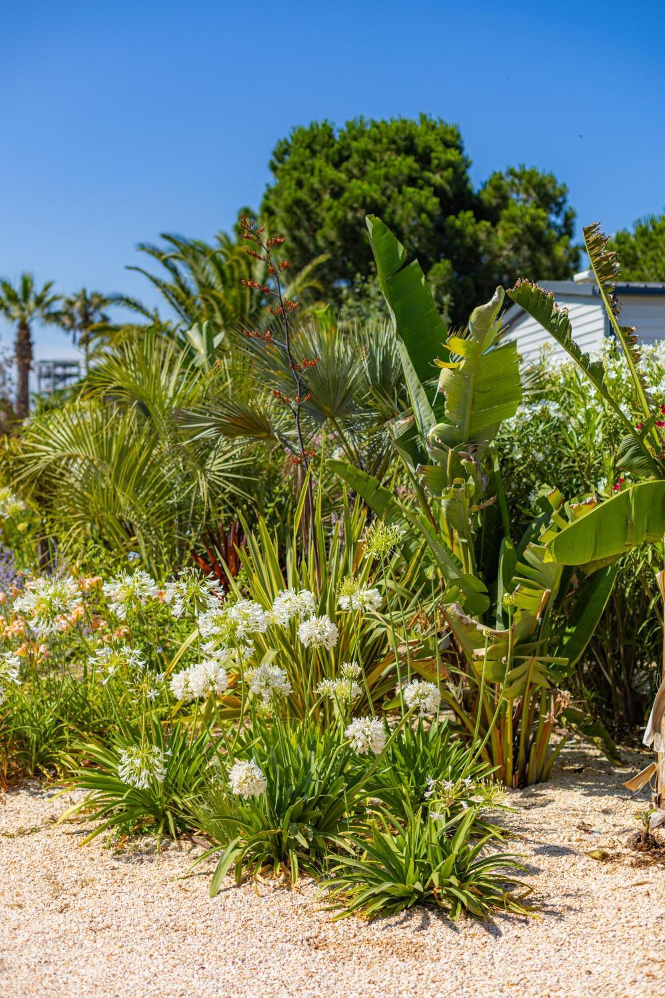 Residence Antinea Argelès-sur-Mer Zewnętrze zdjęcie